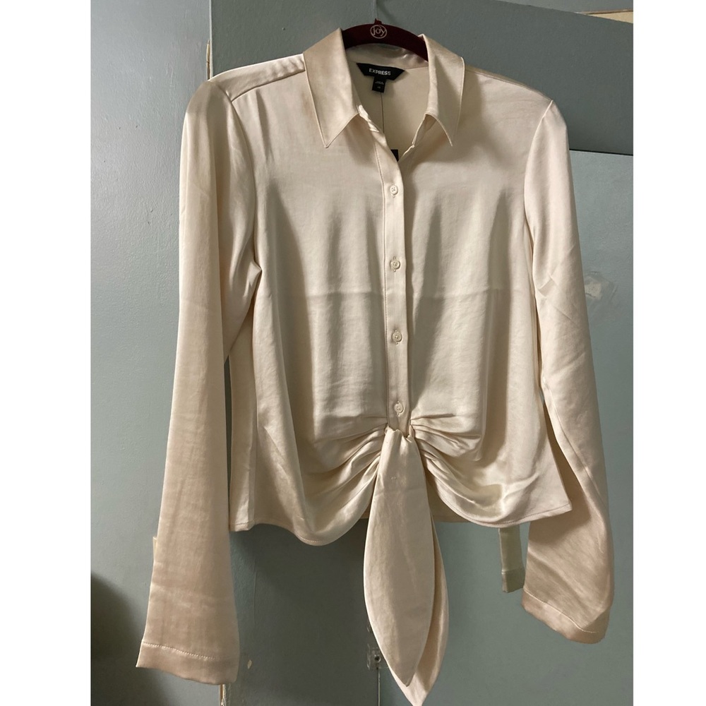 Express blouse; never worn. perfect condition. Tags intact